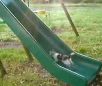 catslide