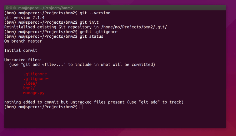 bmm2_gitnottracked